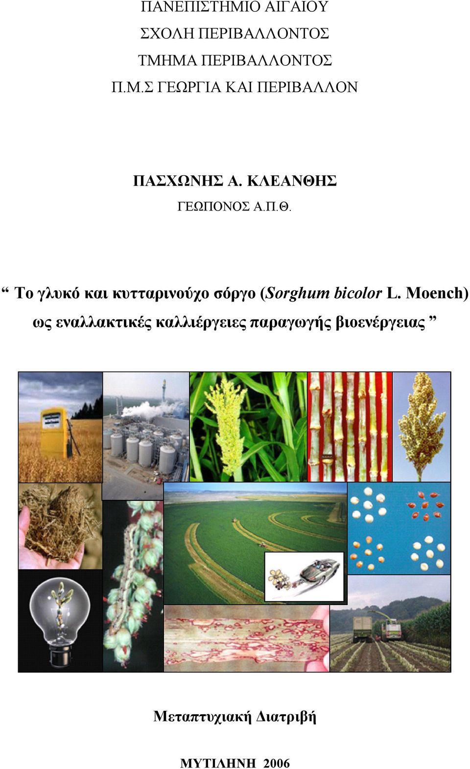 Moench) ως εναλλακτικές καλλιέργειες παραγωγής βιοενέργειας