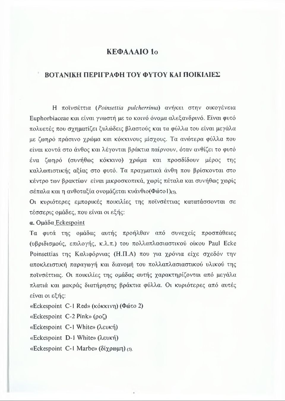 Τα ανώτερα φύλλα που είναι κοντά στο άνθος και λέγονται βράκτια παίρνουν, όταν ανθίζει το φυτό ένα ζωηρό (συνήθως κόκκινο) χρώμα και προσδίδουν μέρος της καλλωπιστικής αξίας στο φυτό.