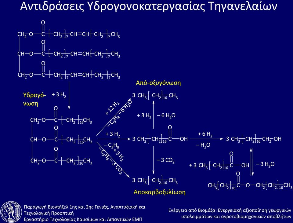 CH 3 3 Από-οξυγόνωση CH 3 CH 2 16 CH 3 + 3 H 2 6 H 2 O O + 3 H 2 + 6 H 2 3 CH 3 CH 2 C OH 3 CH 3 CH 2 16 CH 2 OH C 16