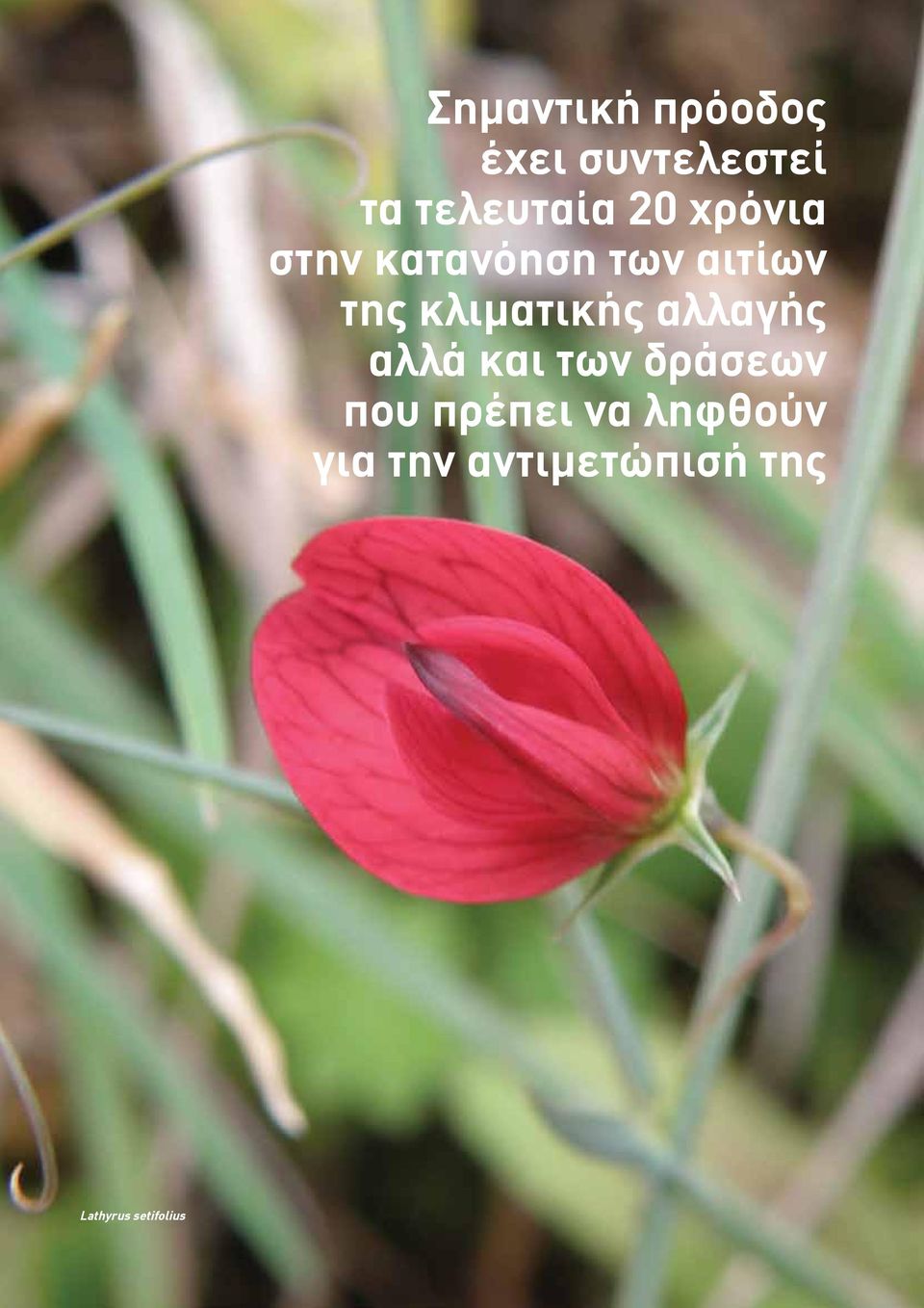 κατανόηση των αιτίων της κλιματικής αλλαγής αλλά