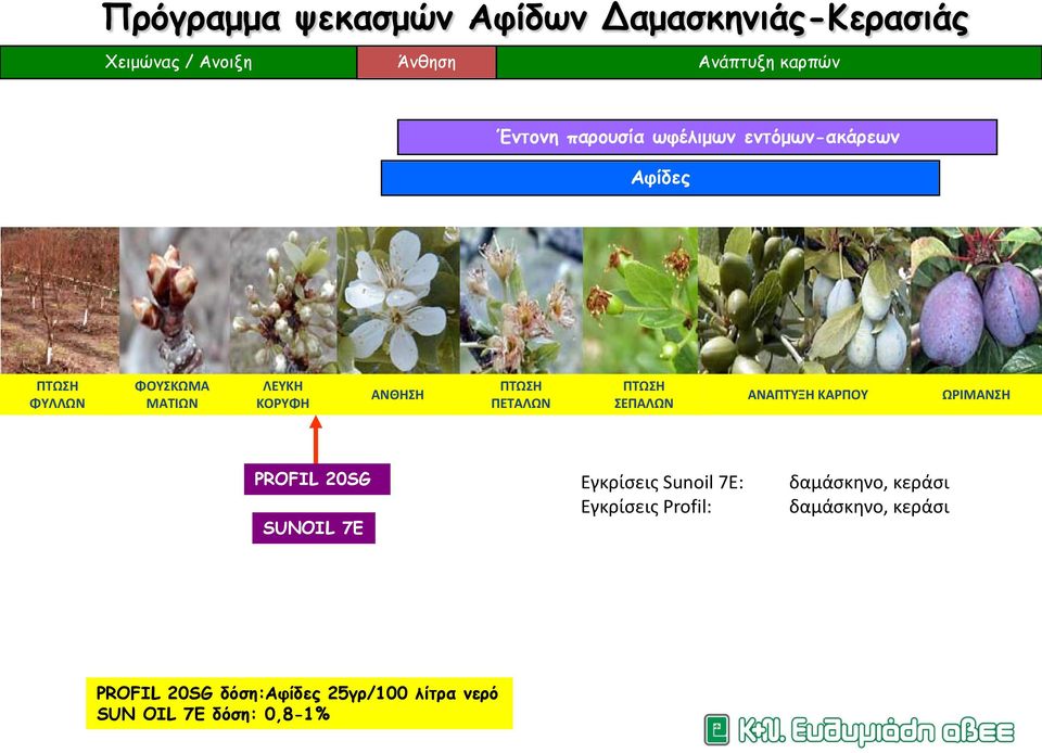 ΠΕΤΑΛΩΝ ΠΤΩΣΗ ΣΕΠΑΛΩΝ ΑΝΑΠΤΥΞΗ ΚΑΡΠΟΥ ΩΡΙΜΑΝΣΗ PROFIL 20SG SUNOIL 7E Εγκρίσεις Sunoil 7E: Εγκρίσεις