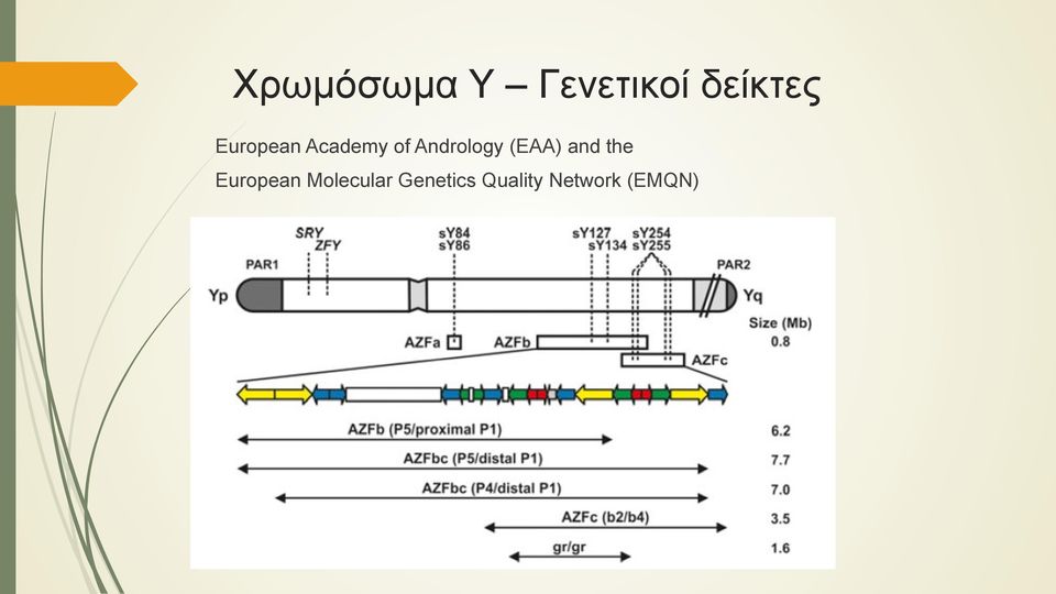 (EAA) and the European