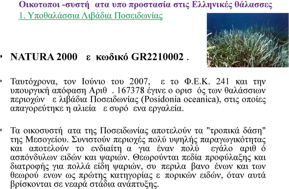 Τα οικοσυστήματα της Ποσειδωνίας αποτελούν τα "τροπικά δάση" της Μεσογείου.