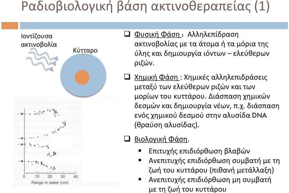 Διάσπαση χημικών δεσμών και δημιουργία νέων, π.χ. διάσπαση ενός χημικού δεσμού στην αλυσίδα DNA (θραύση αλυσίδας). q Βιολογική Φάση.