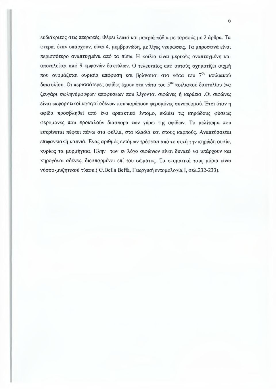 Ο τελευταίος από αυτούς σχηματίζει αιχμή που ονομάζεται ουριαία απόφυση και βρίσκεται στα νώτα του 7ου κοιλιακού δακτυλίου.