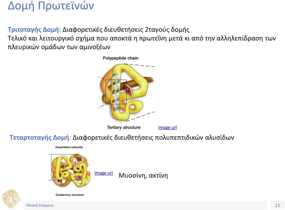 την αλληλεπίδραση των πλευρικών ομάδων των αμινοξέων Τεταρτοταγής