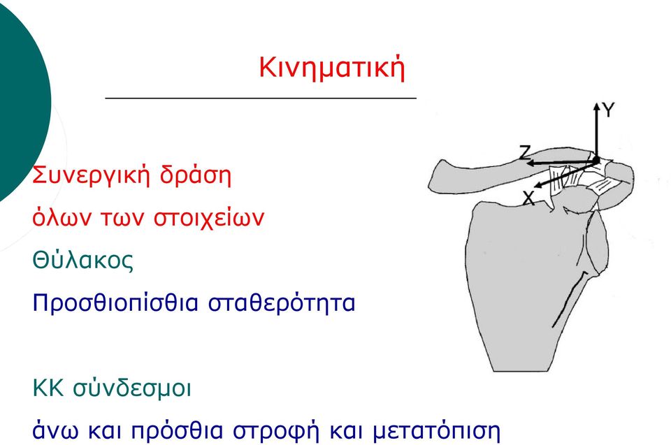 Προσθιοπίσθια σταθερότητα ΚΚ