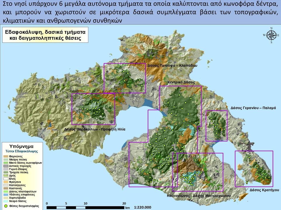 να χωριστούν σε μικρότερα δασικά συμπλέγματα βάσει