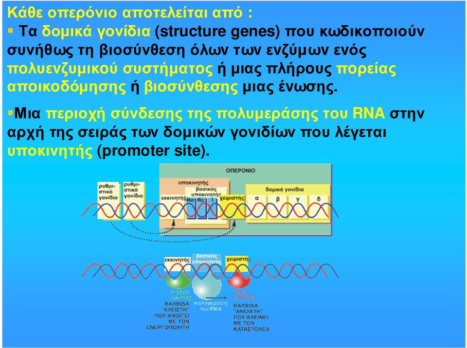 πoρείας απoικoδόµησης ή βιoσύvθεσης µιας έvωσης.