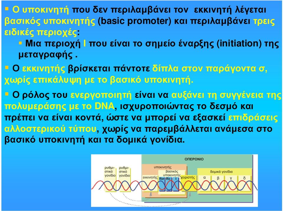 Οεκκινητήςβρίσκεταιπάντοτεδίπλαστονπαράγοντασ, χωρίς επικάλυψη µε το βασικό υποκινητή.