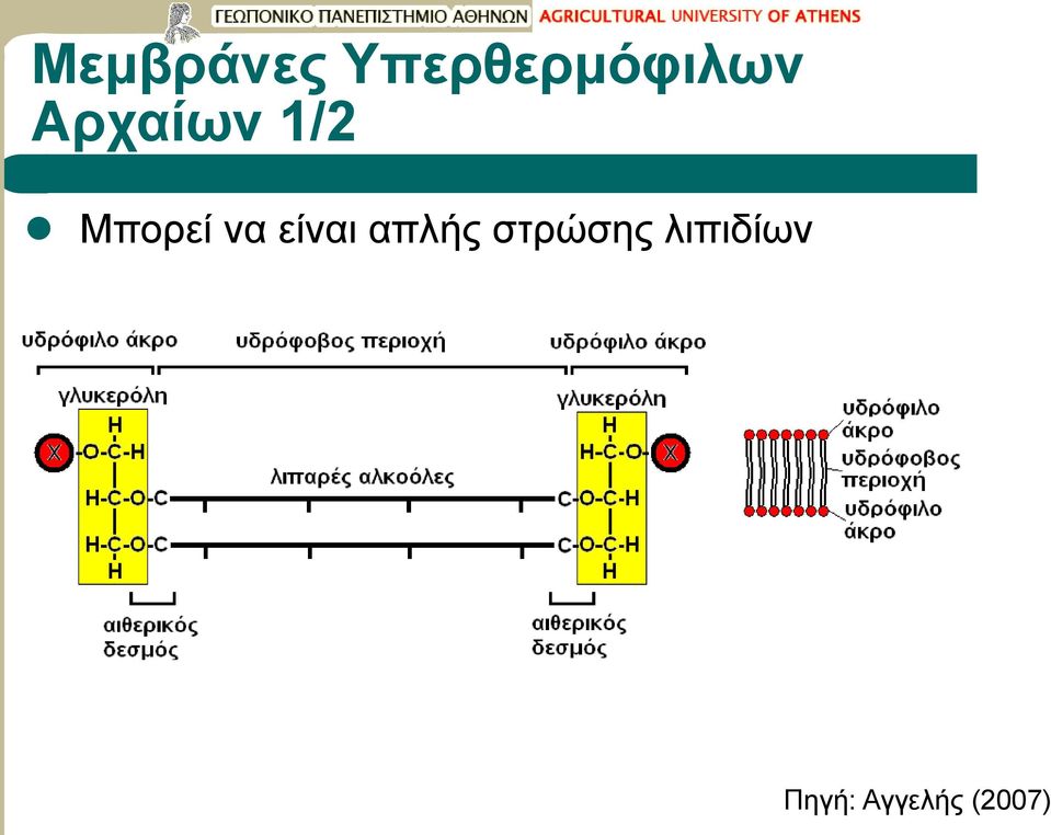 1/2 Μπορεί να είναι