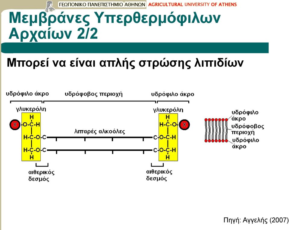 2/2 Μπορεί να είναι