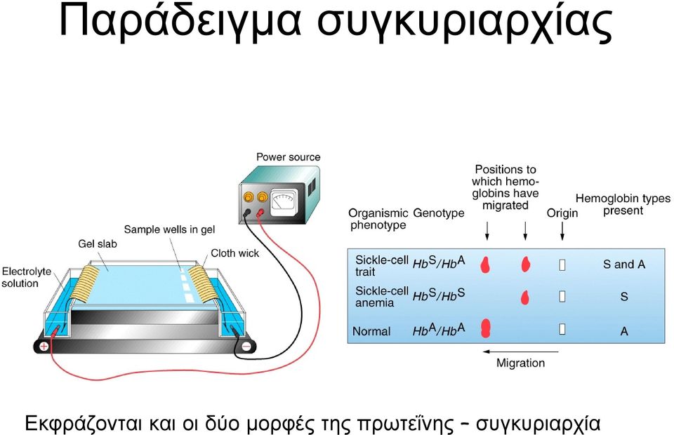 Εκφράζονται και οι