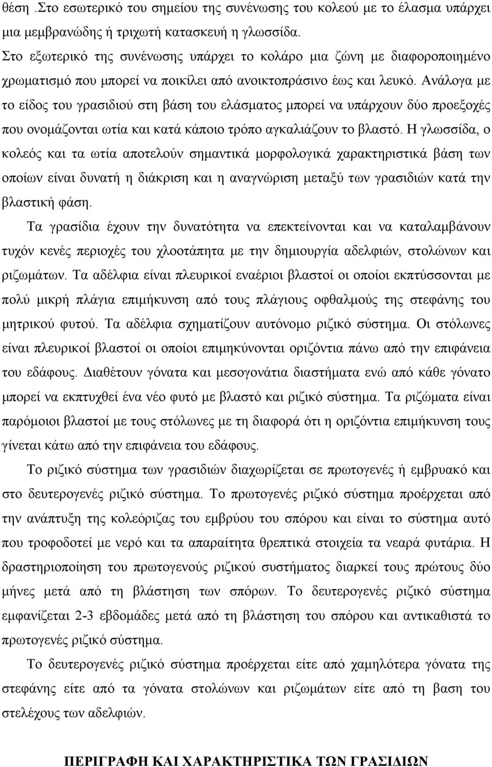 Ανάλογα µε το είδος του γρασιδιού στη βάση του ελάσµατος µπορεί να υπάρχουν δύο προεξοχές που ονοµάζονται ωτία και κατά κάποιο τρόπο αγκαλιάζουν το βλαστό.