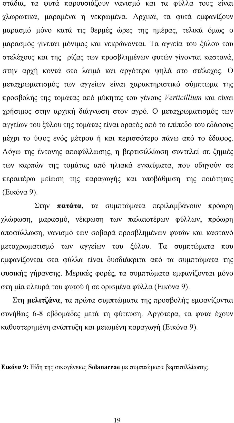 Τα αγγεία του ξύλου του στελέχους και της ρίζας των προσβληµένων φυτών γίνονται καστανά, στην αρχή κοντά στο λαιµό και αργότερα ψηλά στο στέλεχος.