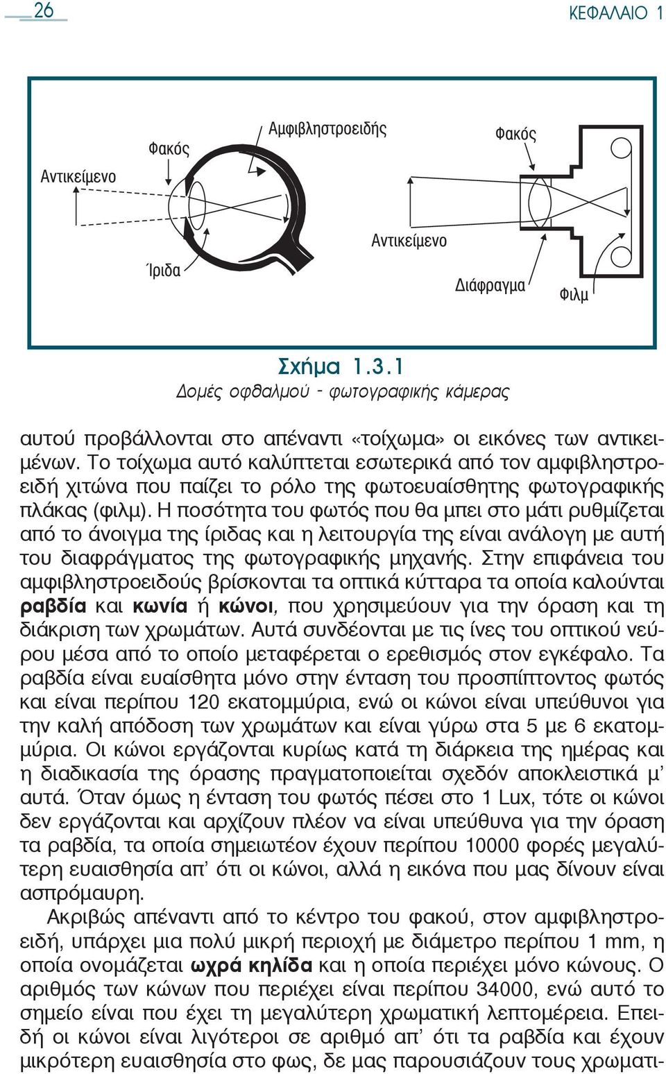 Η ποσότητα του φωτός που θα μπει στο μάτι ρυθμίζεται από το άνοιγμα της ίριδας και η λειτουργία της είναι ανάλογη με αυτή του διαφράγματος της φωτογραφικής μηχανής.