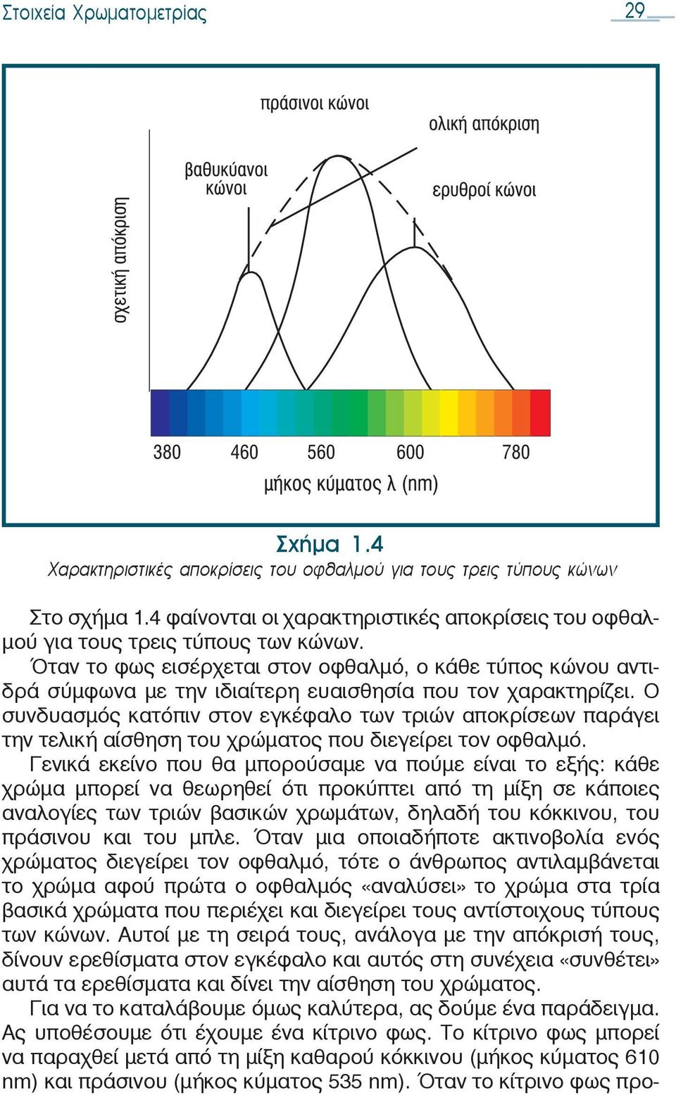 Όταν το φως εισέρχεται στον οφθαλμό, ο κάθε τύπος κώνου αντιδρά σύμφωνα με την ιδιαίτερη ευαισθησία που τον χαρακτηρίζει.