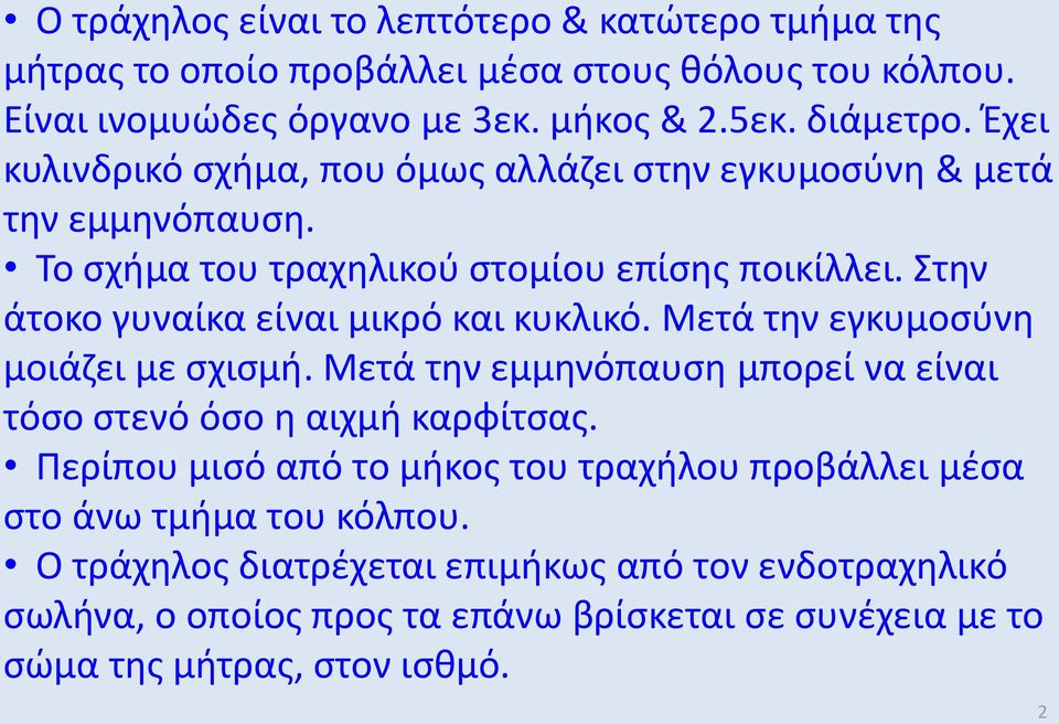 Στην άτοκο γυναίκα είναι μικρό και κυκλικό. Μετά την εγκυμοσύνη μοιάζει με σχισμή. Μετά την εμμηνόπαυση μπορεί να είναι τόσο στενό όσο η αιχμή καρφίτσας.