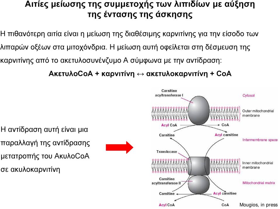 Η µείωση αυτή οφείλεται στη δέσµευση της καρνιτίνης από το ακετυλοσυνένζυµο Α σύµφωνα µε την αντίδραση: