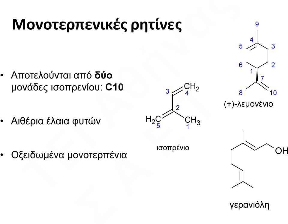 Οξειδωμένα μονοτερπένια 2 2 C 5 C 2 4 1