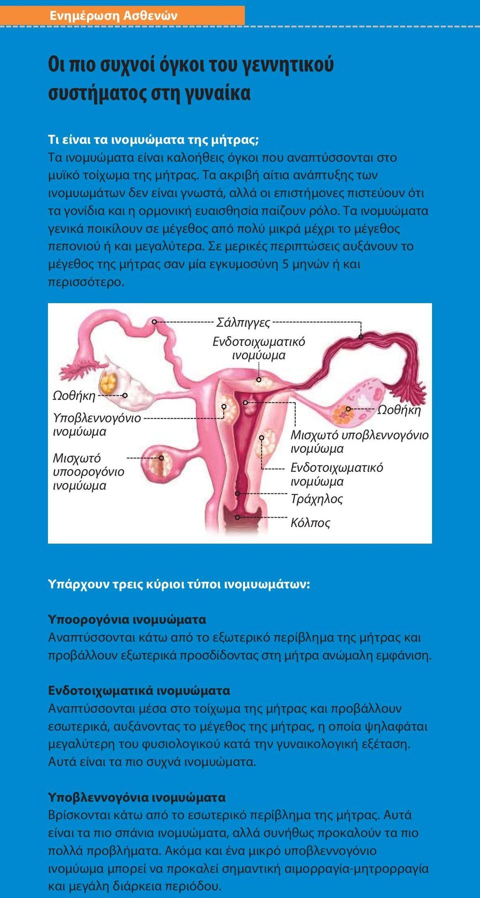 Τα ινομυώματα γενικά ποικίλουν σε μέγεθος από πολύ μικρά μέχρι το μέγεθος πεπονιού ή και μεγαλύτερα. Σε μερικές περιπτώσεις αυξάνουν το μέγεθος της μήτρας σαν μία εγκυμοσύνη 5 μηνών ή και περισσότερο.