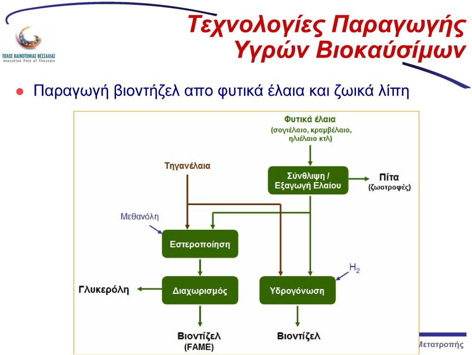 Παραγωγή βιοντήζελ απο