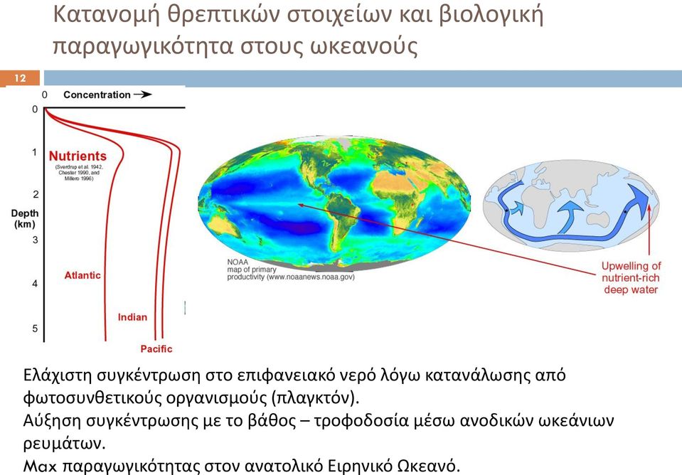 φωτοσυνθετικούς οργανισμούς (πλαγκτόν).