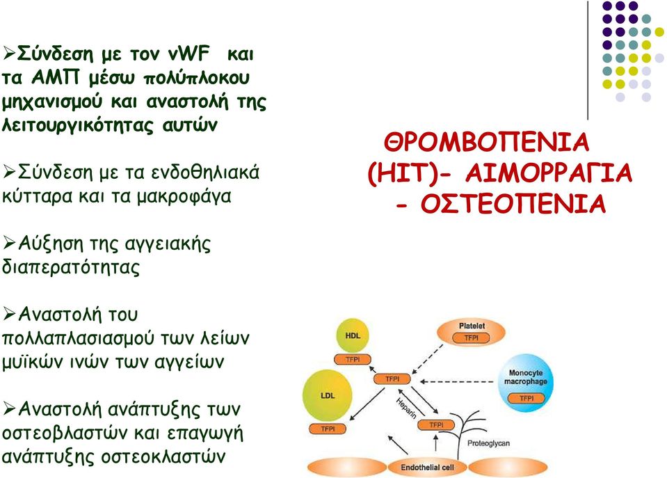 αγγειακής διαπερατότητας ΘΡΟΜΒΟΠΕΝΙΑ (ΗΙΤ)- ΑΙΜΟΡΡΑΓΙΑ - ΟΣΤΕΟΠΕΝΙΑ Αναστολή του