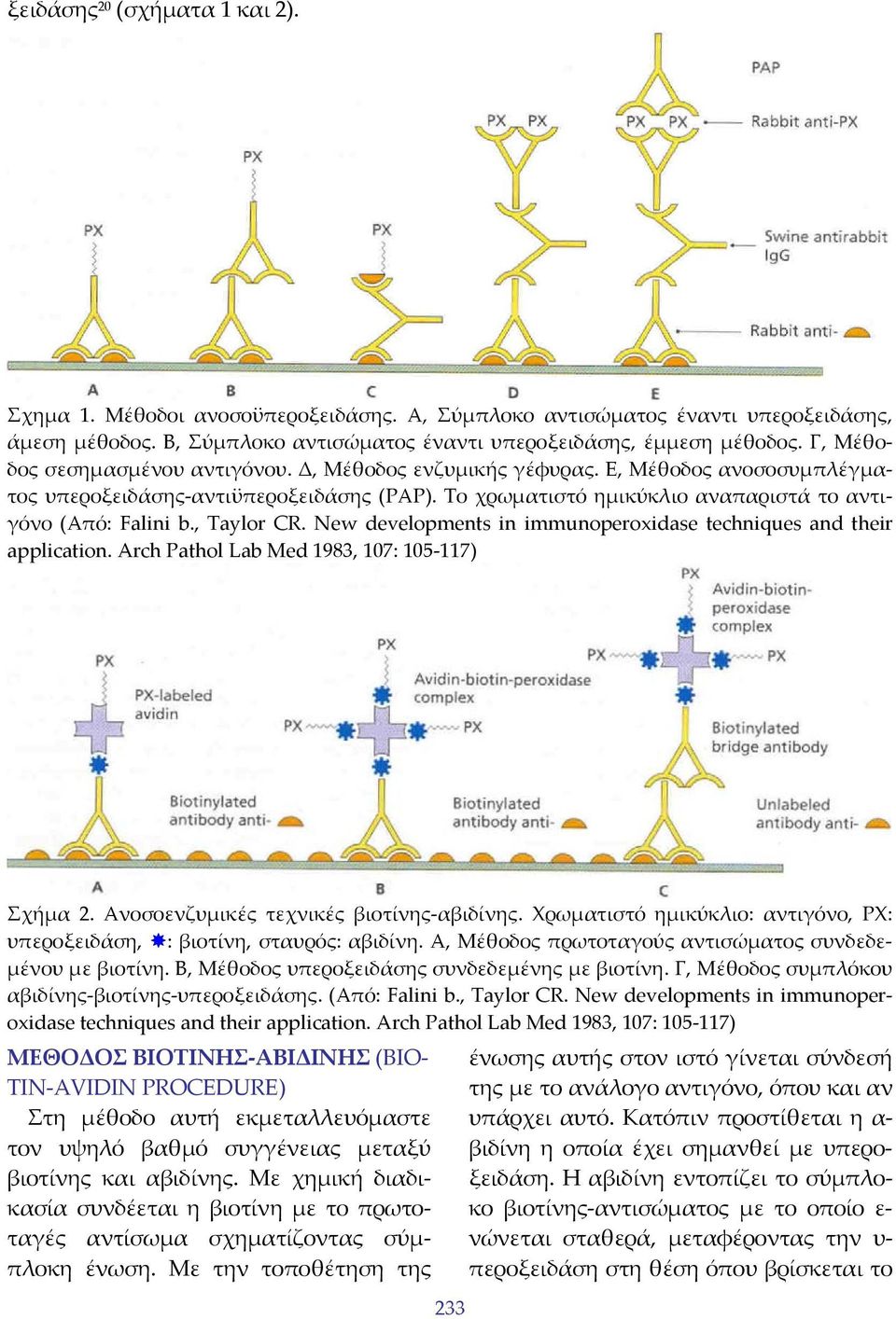 , Taylor CR. New developments in immunoperoxidase techniques and their application. Arch Pathol Lab Med 1983, 107: 105 117) Σχήμα 2. Ανοσοενζυμικές τεχνικές βιοτίνης αβιδίνης.