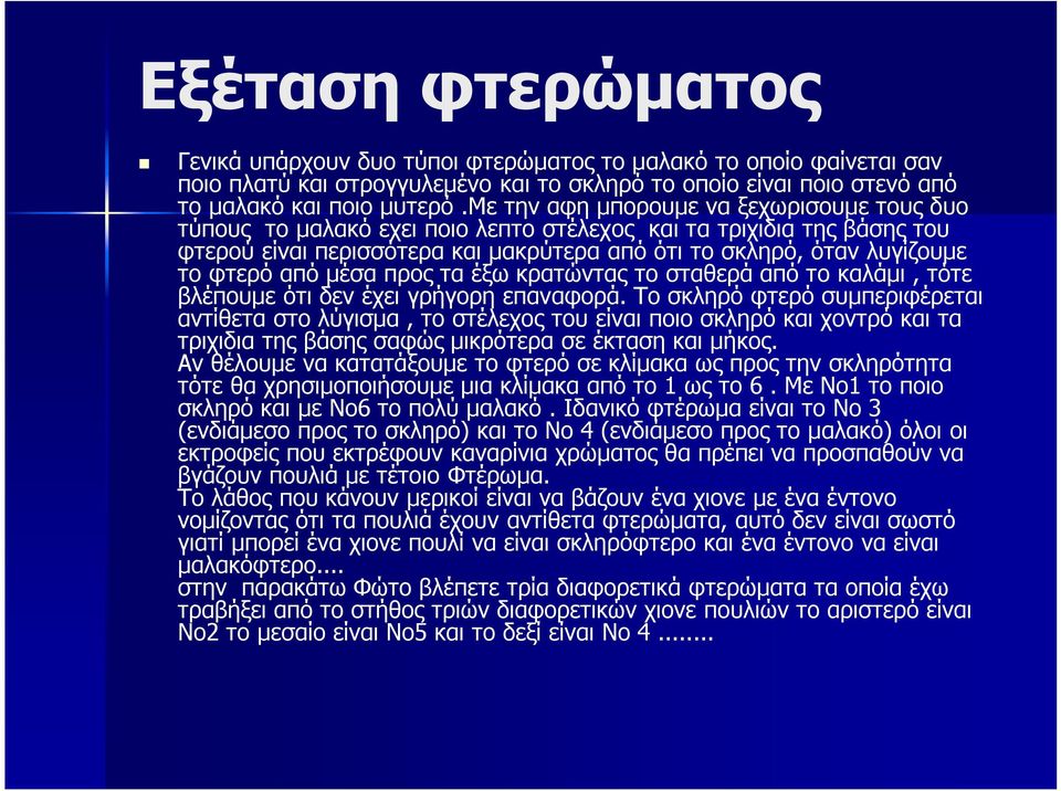 από μέσα προς τα έξω κρατώντας το σταθερά από το καλάμι, τότε βλέπουμε ότι δεν έχει γρήγορη επαναφορά.