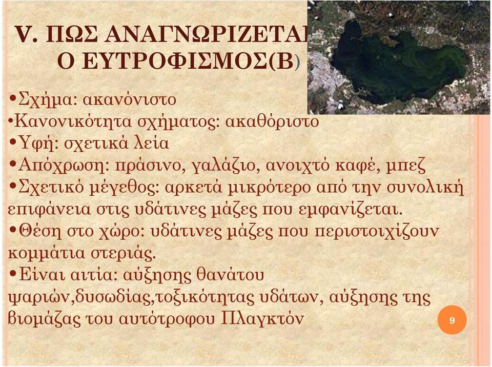 στις υδάτινες μάζες που εμφανίζεται. Θέση στο χώρο: υδάτινες μάζες που περιστοιχίζουν κομμάτια στεριάς.