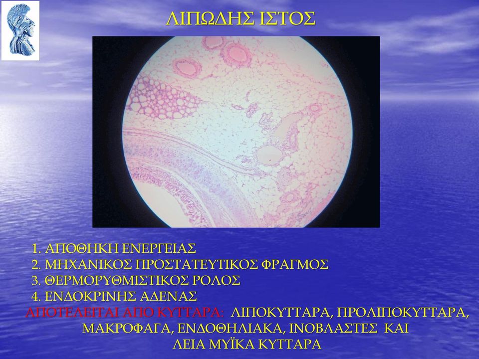 ΘΕΡΜΟΡΥΘΜΙΣΤΙΚΟΣ ΡΟΛΟΣ 4.