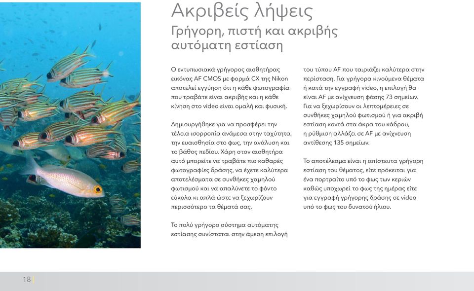 Χάρη στον αισθητήρα αυτό μπορείτε να τραβάτε πιο καθαρές φωτογραφίες δράσης, να έχετε καλύτερα αποτελέσματα σε συνθήκες χαμηλού φωτισμού και να απαλύνετε το φόντο εύκολα κι απλά ώστε να ξεχωρίζουν