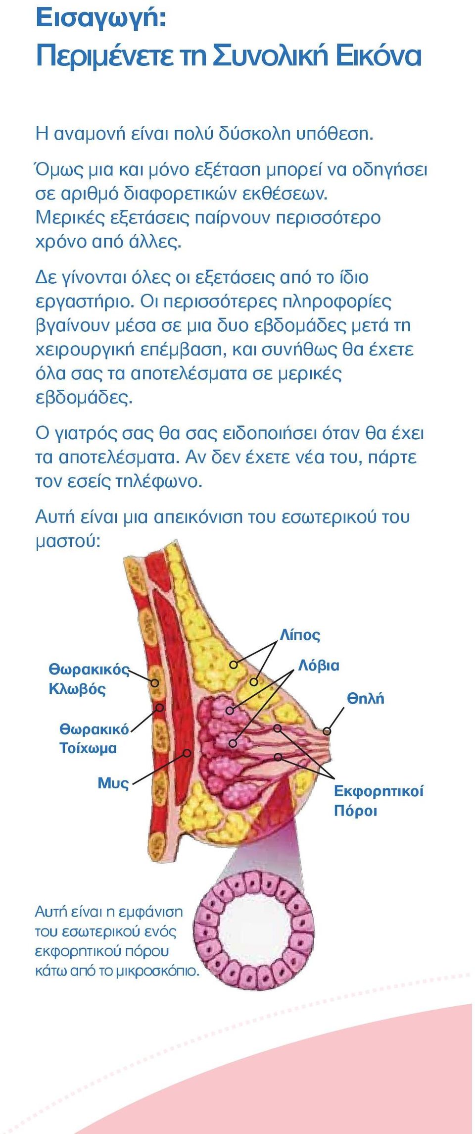 Οι περισσότερες πληροφορίες βγαίνουν µέσα σε µια δυο εβδοµάδες µετά τη χειρουργική επέµβαση, και συνήθως θα έχετε όλα σας τα αποτελέσµατα σε µερικές εβδοµάδες.