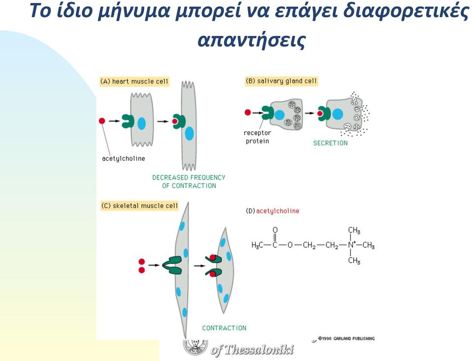 να επάγει