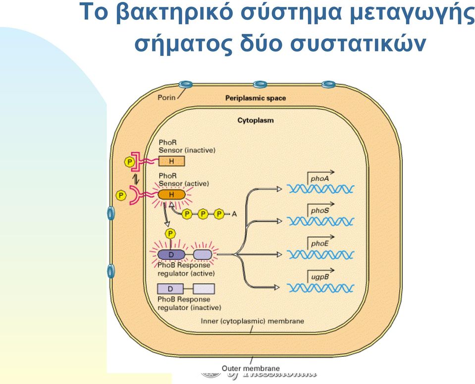 µεταγωγής