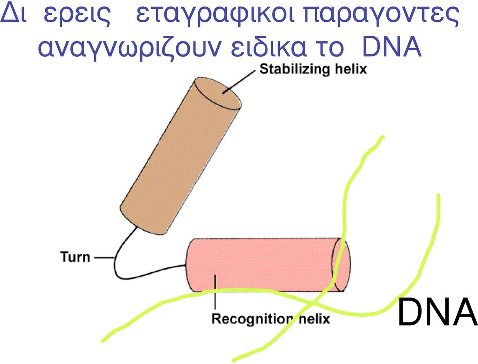 παραγοντες