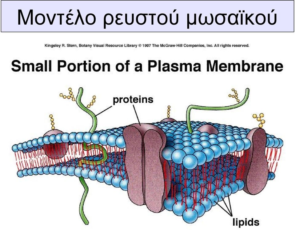 μωσαϊκού