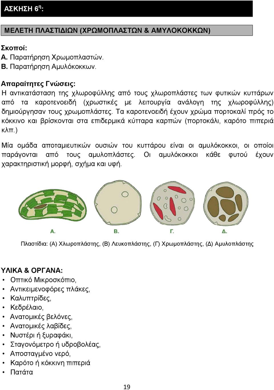 Τα καροτενοειδή έχουν χρώμα πορτοκαλί πρός το κόκκινο και βρίσκονται στα επιδερμικά κύτταρα καρπών (πορτοκάλι, καρότο πιπεριά κλπ.