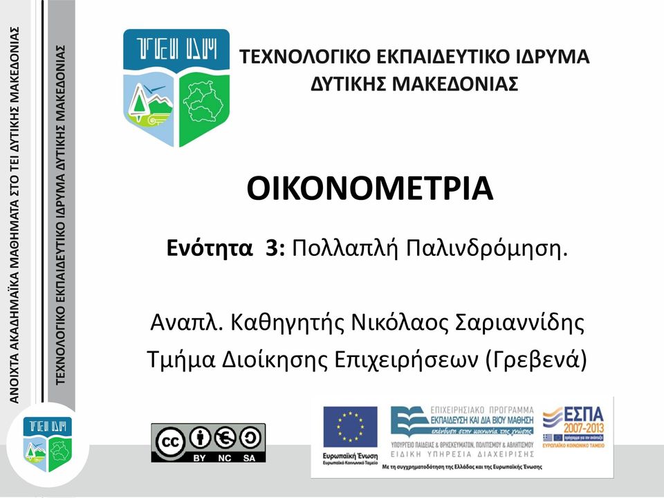 Καθηγητής Νικόλαος Σαριαννίδης