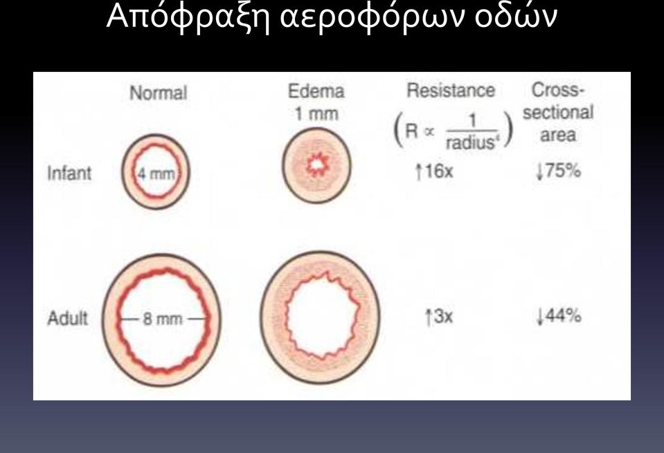 οδών