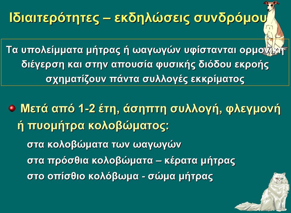 εκκρίματος Μετά από 1-2 έτη, άσηπτη συλλογή, φλεγμονή ή πυομήτρα κολοβώματος: στα