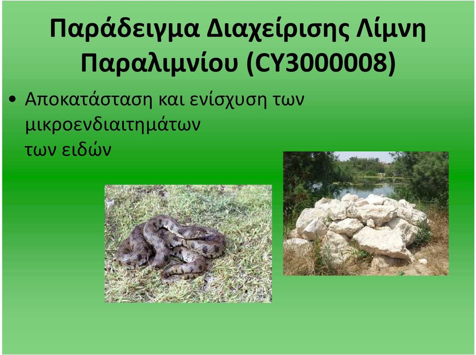 (CY3000008) Αποκατάσταση