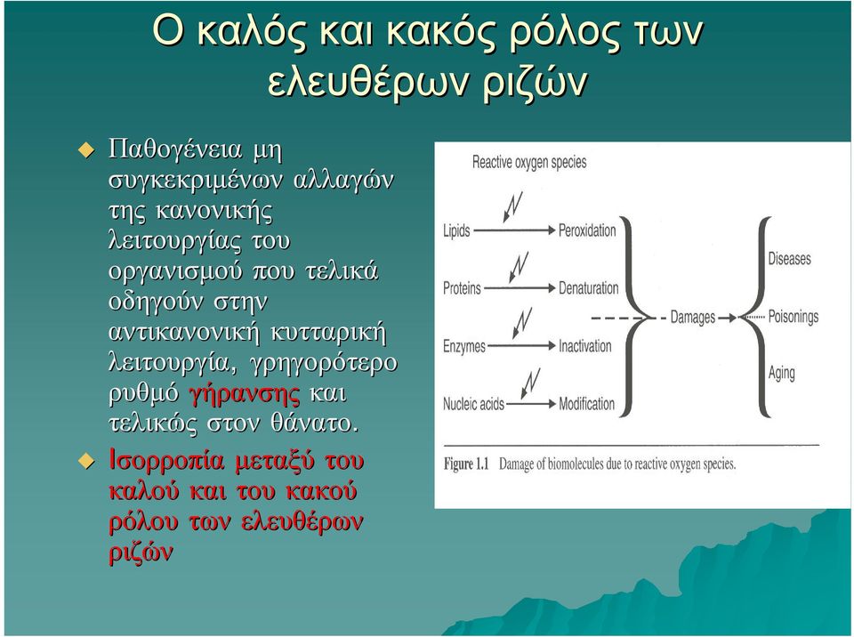 κυτταρική λειτουργία, γρηγορότερο ρυθμό γήρανσης και τελικώς στον θάνατο.