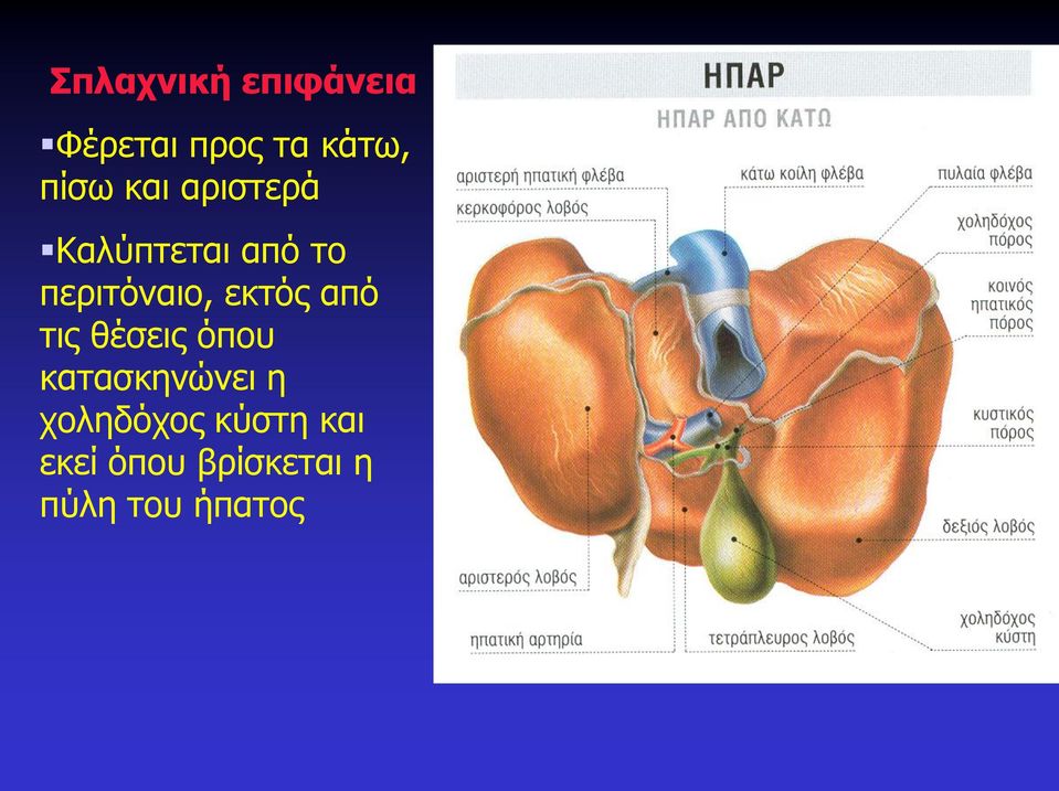 εκτός από τις θέσεις όπου κατασκηνώνει η