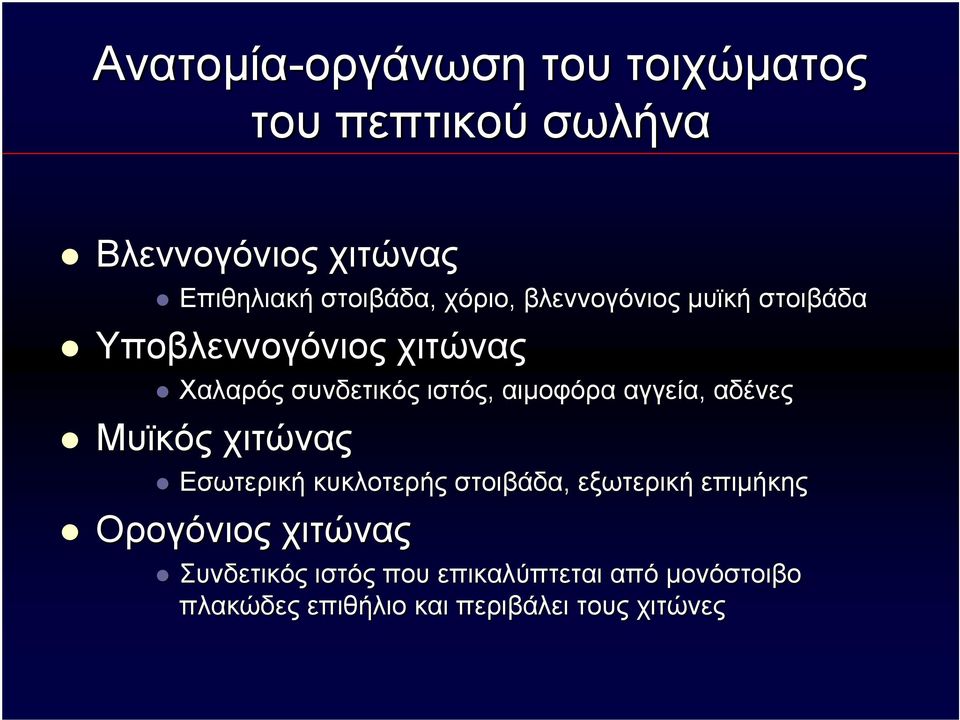 αιμοφόρα αγγεία, αδένες Μυϊκός χιτώνας Εσωτερική κυκλοτερής στοιβάδα, εξωτερική επιμήκης