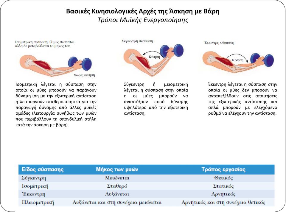 δύναμης από άλλες μυϊκές υψηλότερο από την εξωτερική ομάδες (λειτουργία συνήθως των μυών που περιβάλλουν τη σπονδυλική στήλη κατά την άσκηση με βάρη).