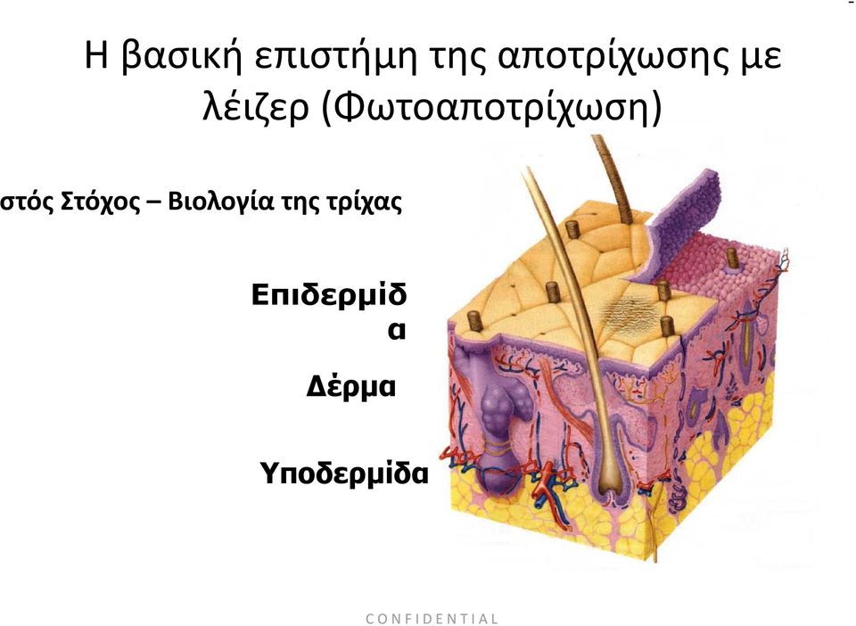 Στόχος Βιολογία της τρίχας
