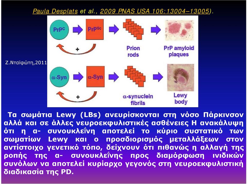 ότι η α- συνουκλεΐνη αποτελεί το κύριο συστατικό των σωματίων Lewy και ο προσδιορισμός ορ σ μεταλλάξεων στον