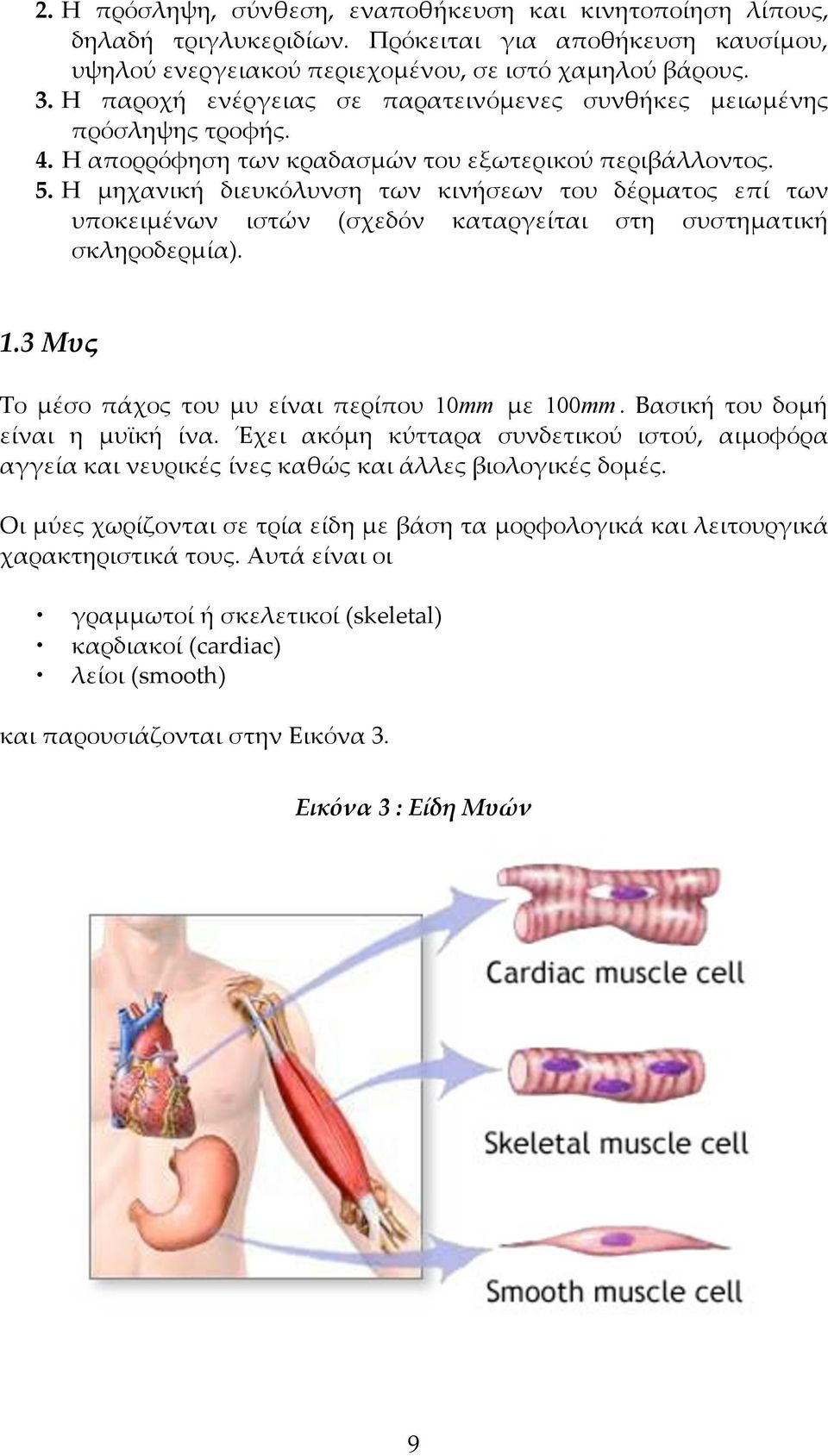 Η µηχανική διευκόλυνση των κινήσεων του δέρµατος επί των υποκειµένων ιστών (σχεδόν καταργείται στη συστηµατική σκληροδερµία). 1.3 Μυς Το µέσο πάχος του µυ είναι περίπου 10 mm µε 100 mm.